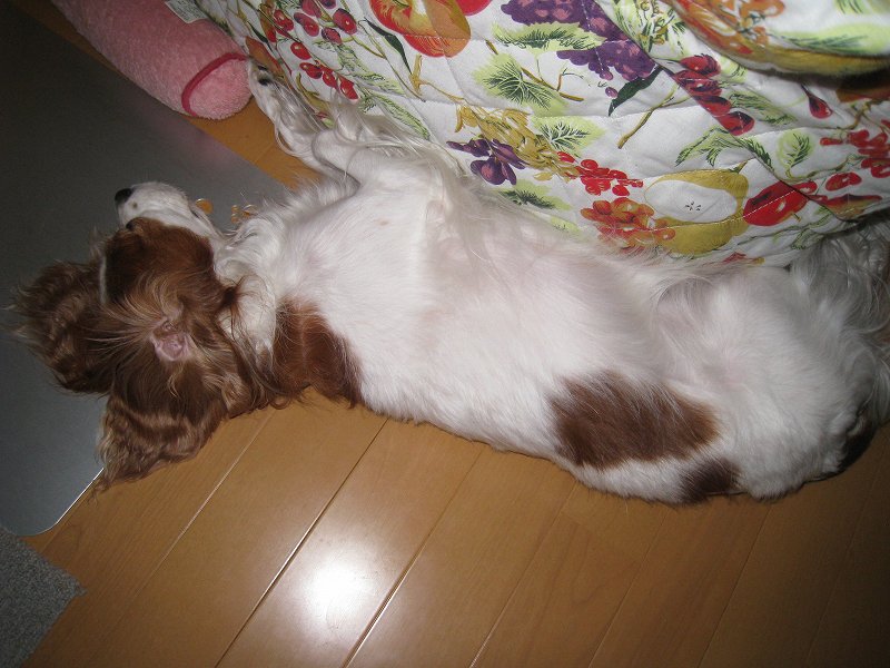 20100904_006