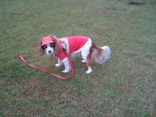 20101030_001
