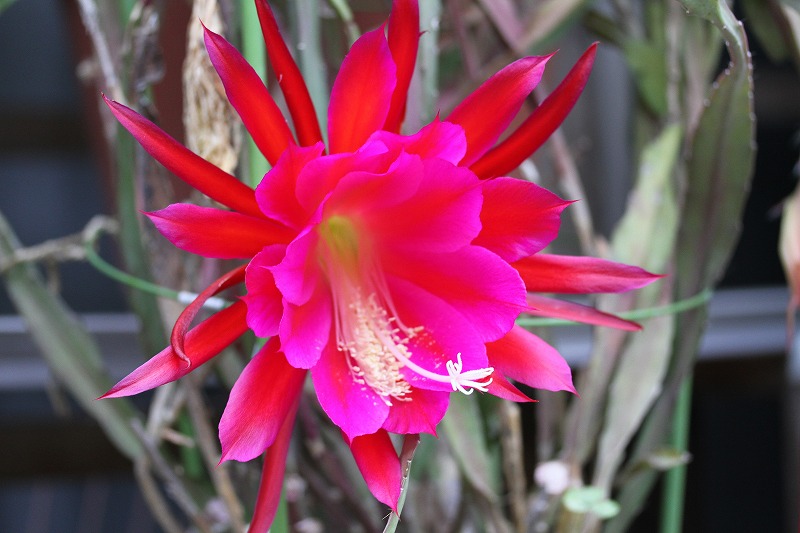 20100607_001