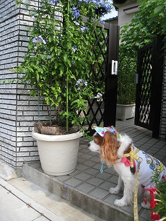 20100710_021