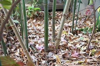 20101128_020