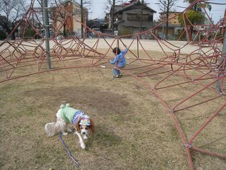 20110220_002