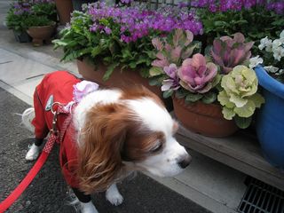 20110326_005