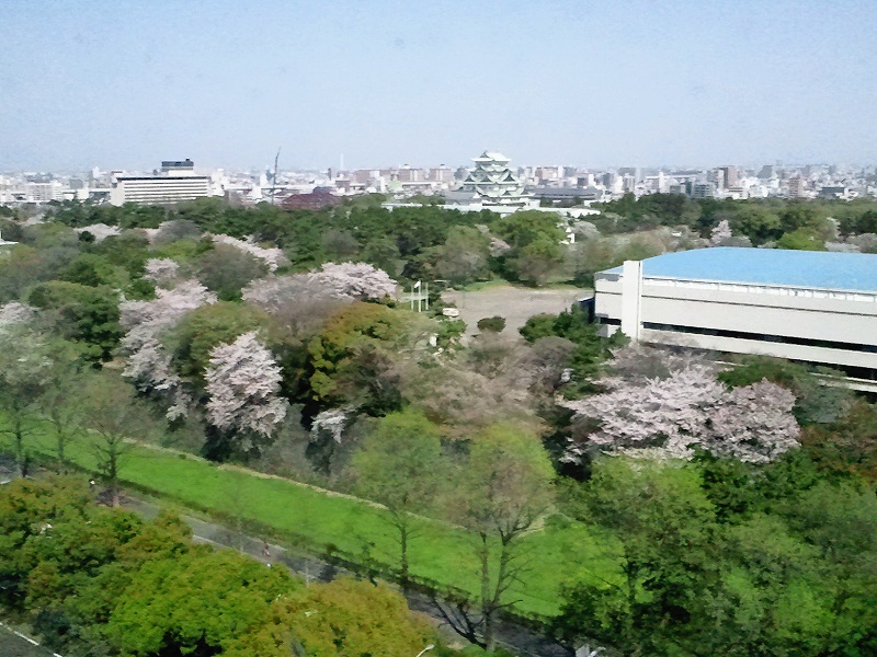 20110412_002 (1)