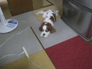 20110818_004