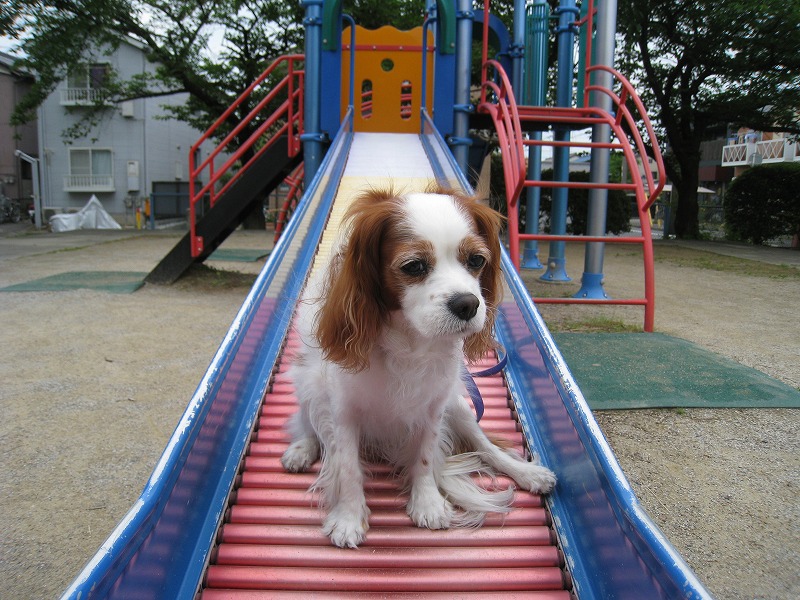 20110523_014
