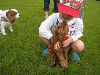 20110526_020