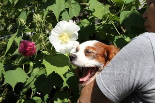 20110906_030