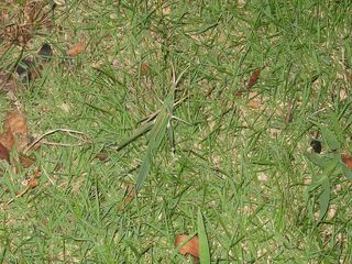20110908_006