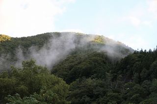 IMG_7553