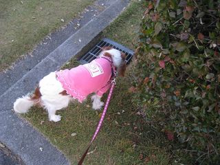 20111130_001