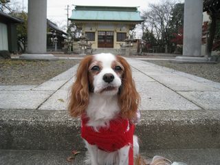 20111208_005 20111208_005