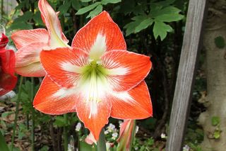 20110526_012