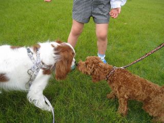 20110526_019