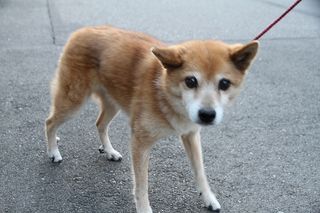 20111018_013 (1)