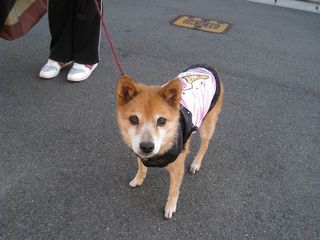 20111213_010