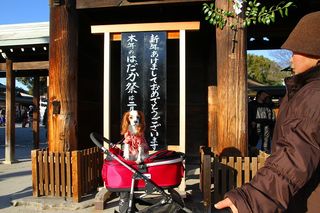 IMG_9818