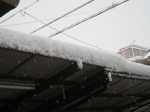 20120202_007