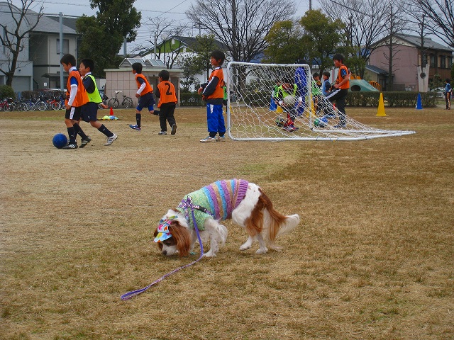 20120304_008