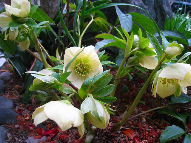 20120304_004