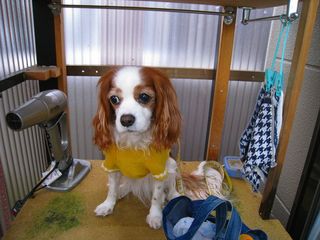 20120405_002