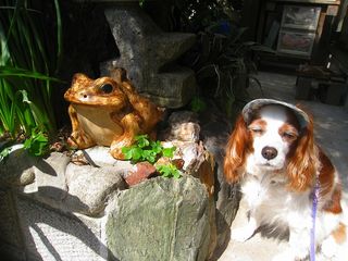 20120505_015
