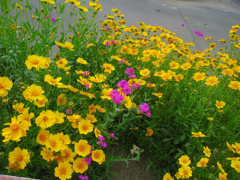 20120524_006