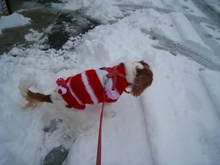 20120202_011