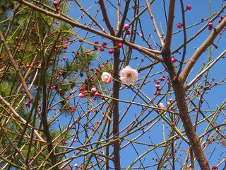 20120224_007