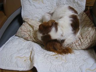 20120305_001