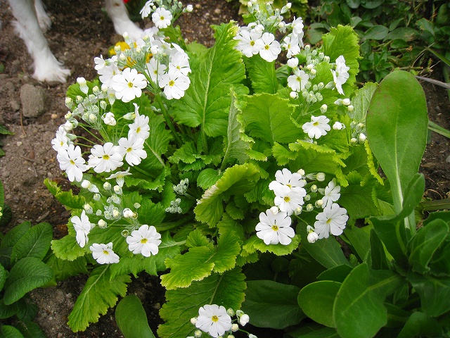 20120304_017
