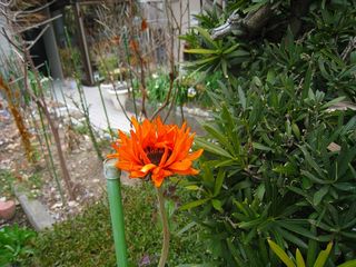 20120304_016