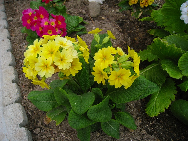 20120304_018