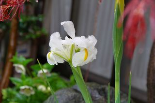 20120423_009