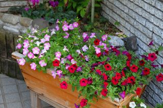 20120516_009 (1)