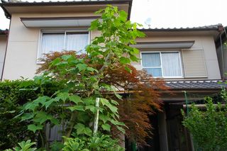 20120613_005