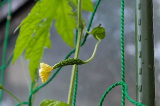 20120702_001