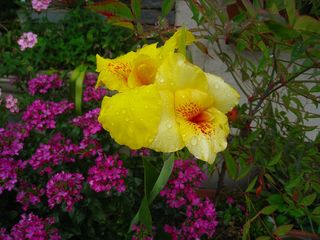 20120703_002