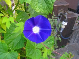20120818_016