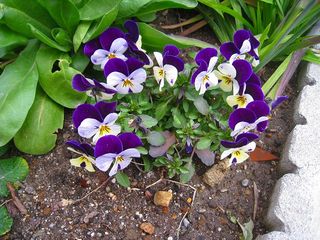 20120304_019