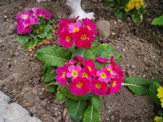 20120304_020
