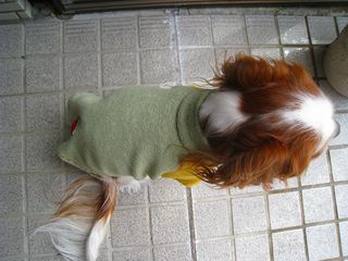 20120312_004