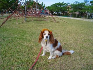 20120611_003
