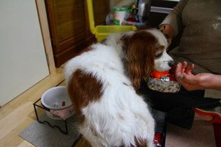 20120616_003