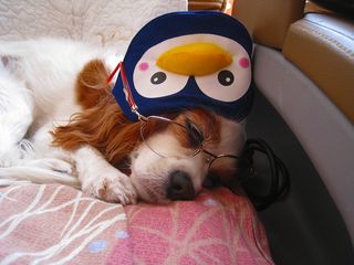 20120702_012