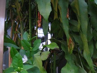20120809_010