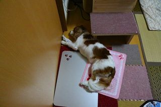 20120716_007