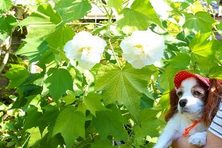 20120825_001
