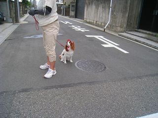 20120902_004