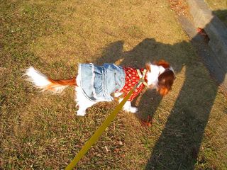 20121203_006